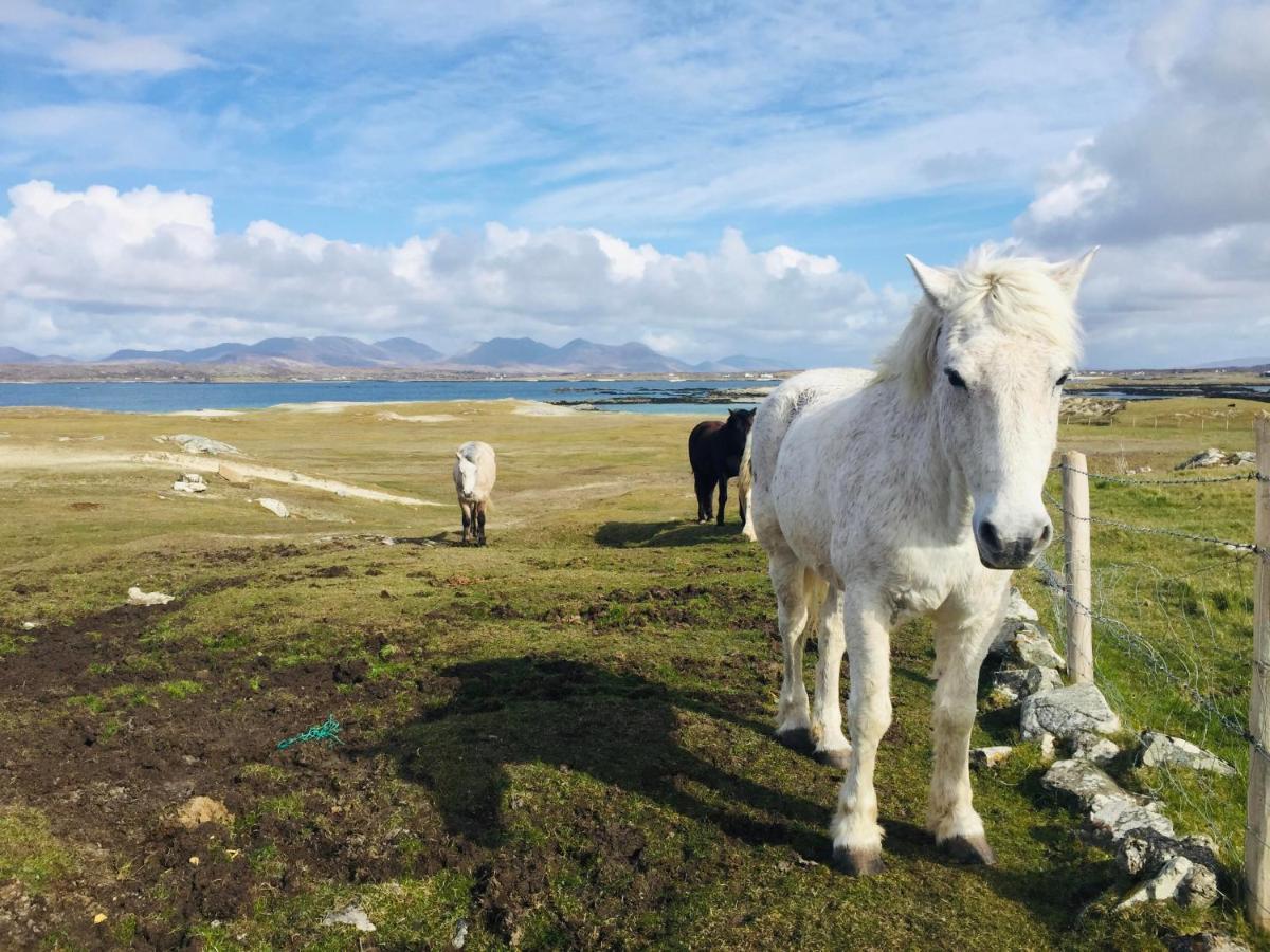 Connemara Sands Hotel & Spa Clifden Bagian luar foto